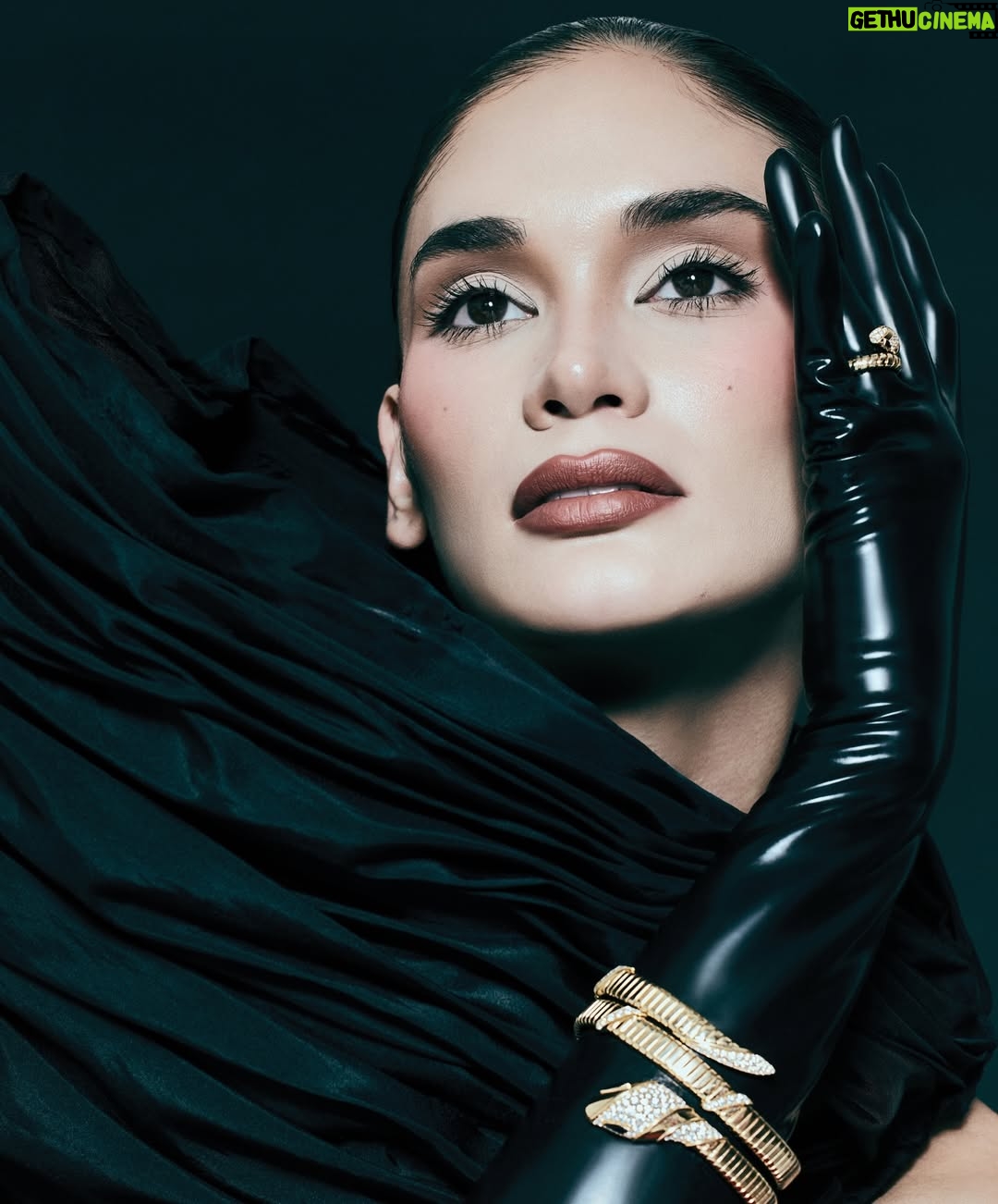 Pia Wurtzbach - 135.8K Likes - New Beginnings ❤️ @harpersbazaarserbia

@schiaparelli @georgeshobeika #BvlgariPartner