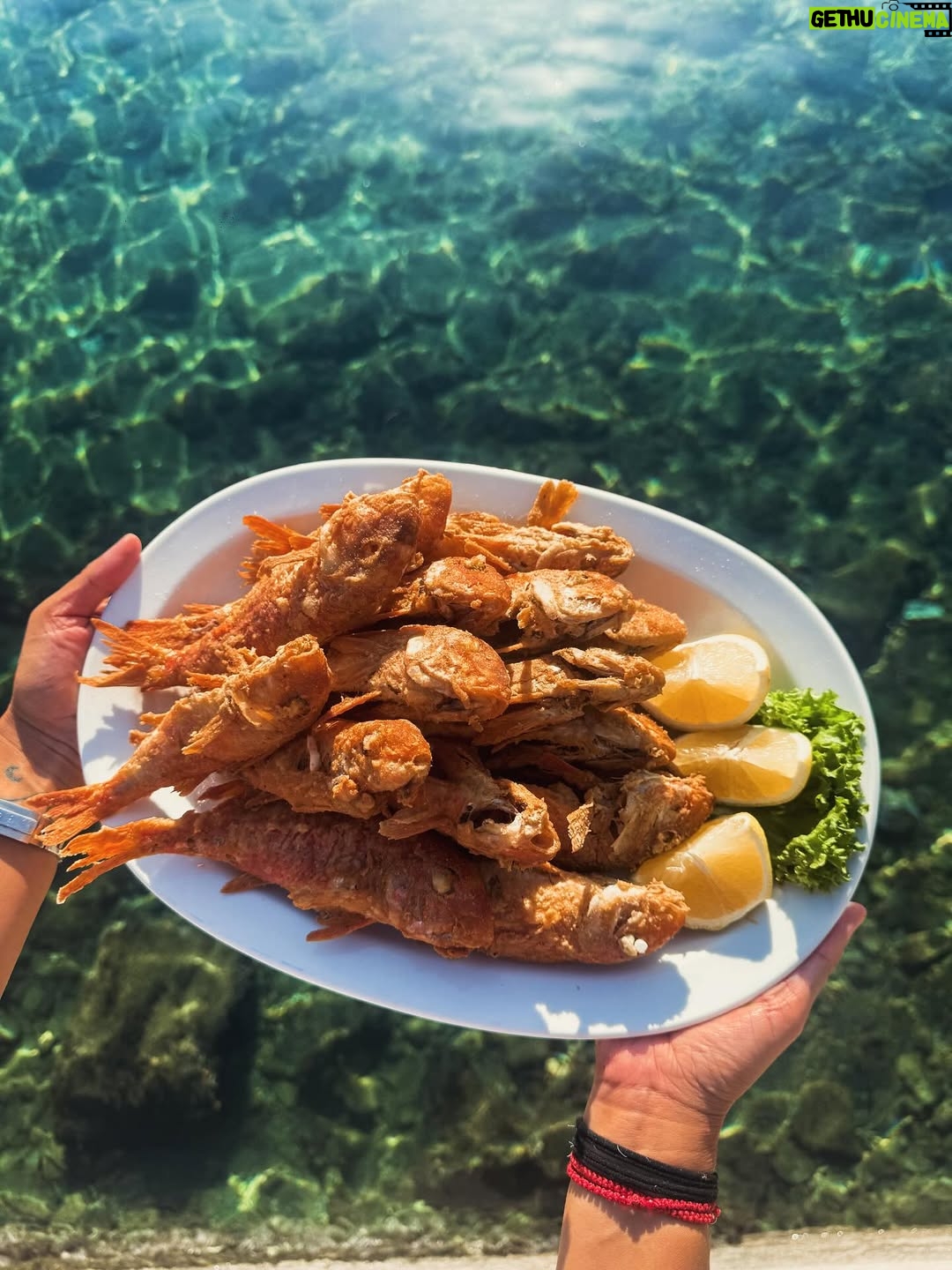 Pinelopi Plaka - 6.9K Likes - Εντάξει τελευταία φορά.Εχω πολλές ακόμα, αλλά δε θα τις ανεβάσω. Το καλοκαίρι πάντα είναι το αγαπημένο μου και πάντα ατελείωτο. Κλείνω με το νησί που δεν χρειάζεται όνομα. Πότε κατεβαίνεις στο νησί είναι αρκετό.Τίποτα δε θα ξεχάσω. Στο 5 στάσου αν θες, ήταν η στιγμή που νόμιζα ότι δε θα ξαναδώ τον Άργο.Δεν θα περιγράψω συναισθήματα, θα πω μόνο πως η αγάπη για όλα είναι ικανή. Γεια σου καλοκαιρι μου 🍒 
____________________________________________________

#mysummer #summeringreece #memories #tillnexttime