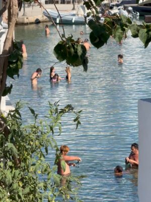 Pinelopi Plaka Instagram - Εντάξει τελευταία φορά.Εχω πολλές ακόμα, αλλά δε θα τις ανεβάσω. Το καλοκαίρι πάντα είναι το αγαπημένο μου και πάντα ατελείωτο. Κλείνω με το νησί που δεν χρειάζεται όνομα. Πότε κατεβαίνεις στο νησί είναι αρκετό.Τίποτα δε θα ξεχάσω. Στο 5 στάσου αν θες, ήταν η στιγμή που νόμιζα ότι δε θα ξαναδώ τον Άργο.Δεν θα περιγράψω συναισθήματα, θα πω μόνο πως η αγάπη για όλα είναι ικανή. Γεια σου καλοκαιρι μου 🍒
____________________________________________________
#mysummer #summeringreece #memories #tillnexttime