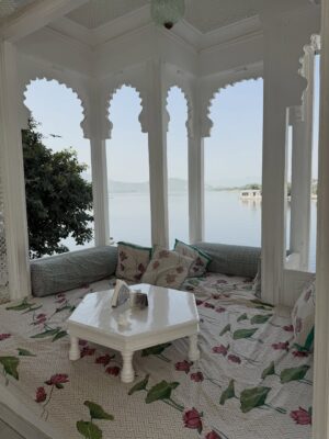 Pooja Sharmaaaa Instagram - Udaipur diaries 🩵