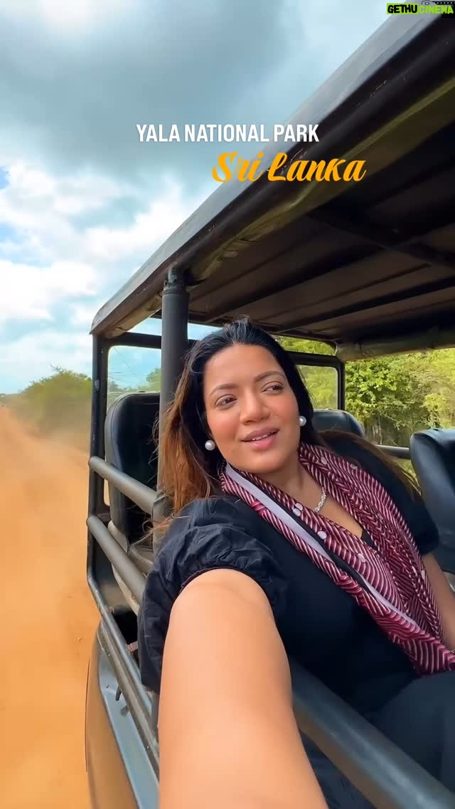 Pratibha Bhadauria - 461 Likes - 𝐑𝐞𝐚𝐝 𝐭𝐡𝐞 𝐜𝐚𝐩𝐭𝐢𝐨𝐧 for all the details!
Yala National Park is an absolute must-visit in Sri Lanka!

🦓 𝐖𝐢𝐥𝐝𝐥𝐢𝐟𝐞 & 𝐕𝐢𝐞𝐰𝐬: From elephants, leopards, crocs, deer to rare birds and reptiles, Yala is teeming with life. The scenery feels like walking through a painting — wild, raw, and stunning.

🕓 𝐒𝐚𝐟𝐚𝐫𝐢 𝐓𝐢𝐦𝐢𝐧𝐠𝐬: We left Galle at 4:30 AM, reached by 6:30, and joined the morning safari. Mornings and evenings are best for sightings.

📍 𝐓𝐫𝐚𝐯𝐞𝐥 𝐓𝐢𝐦𝐞: ~2 to 2.5 hrs by road from Galle — perfect for a day trip from the south of Sri Lanka.

💸 𝐒𝐚𝐟𝐚𝐫𝐢 𝐂𝐨𝐬𝐭𝐬 (𝟐𝟎𝟐𝟓):
• Half-Day Jeep (6 pax): LKR 16,900 ≈ ₹4,700
• Full-Day Jeep: LKR 28,100 ≈ ₹7,800
• Entry Ticket per person: ~USD 30 ≈ ₹2,500 (charged separately)
📝 You pay for the jeep and entry per person — unlike in India.

🚙 𝐕𝐞𝐡𝐢𝐜𝐥𝐞 & 𝐑𝐢𝐝𝐞: The gypsies at Yala are very different from what we’re used to in India. They are taller, elevated, and have a roof, so you’re protected from the direct sun since there is no canopy here. The view from that height is at eye level with elephants.

🧑‍✈️ 𝐆𝐮𝐢𝐝𝐞 𝐈𝐧𝐬𝐢𝐠𝐡𝐭: Unlike Indian experience where forest officials or naturalists usually accompany you, in Yala the drivers are not forest officers. There is a language barrier, and they may not be able to explain much about the flora and fauna. But their passion is unmatched! They were constantly coordinating on calls with other drivers to ensure we didn’t miss a single animal sighting. Their focus and effort made it feel like they truly wanted us to experience every highlight of the park.

⚠️ 𝐓𝐢𝐩: Avoid taking very young kids, elderly or people with back issues, it’s bumpy and thrilling but not easy on the body.

#YalaNationalPark #SriLankaSafari #WildlifeSafari #TravelSriLanka #GalleToYala #LeopardSighting #ElephantsOfSriLanka #SafariGuideSriLanka #SafariCost #YalaTravelTips #Fyp #explore #traveltips 

{ Yala National Park, Sri Lanka Safari, Best Time to Visit, Safari Price, Wildlife Tours, Galle to Yala Distance, Tickets, Photos, Reviews }