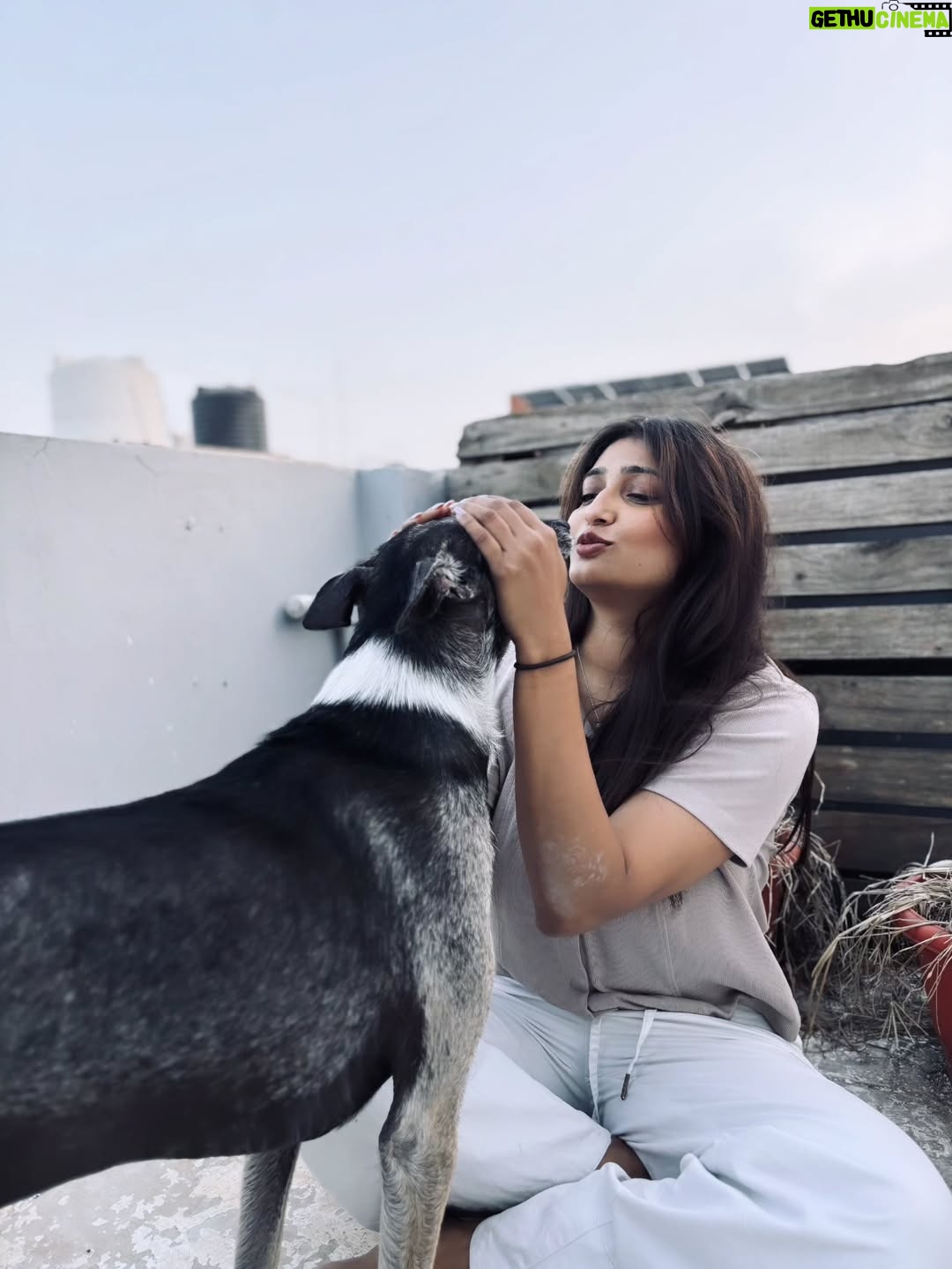 Priya Vadlamani - 44.6K Likes - Happiest with him 🦋✨️