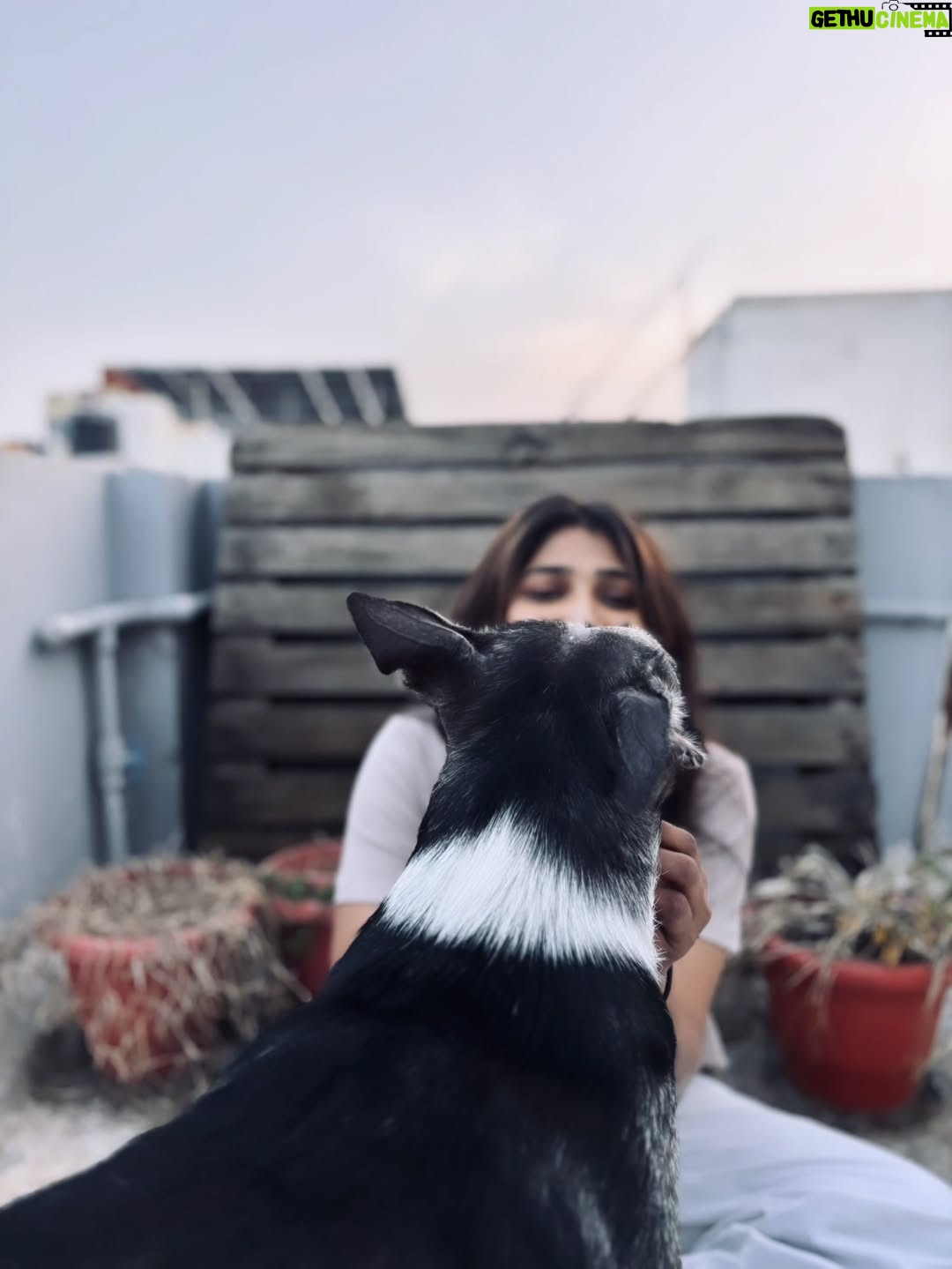 Priya Vadlamani - 44.6K Likes - Happiest with him 🦋✨️