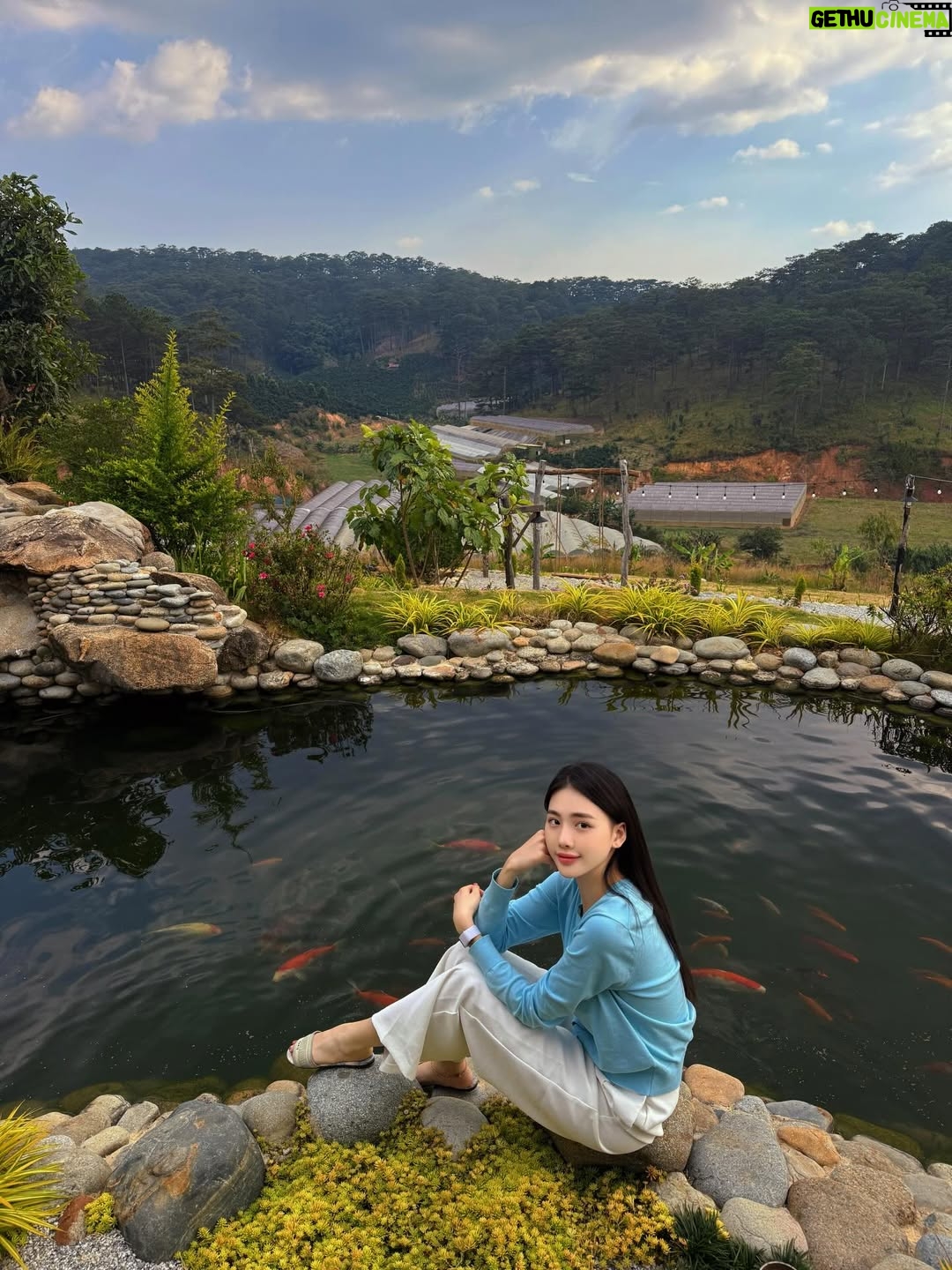 Quỳnh Hoa Bùi - 1K Likes - Có những ngày, hạnh phúc đơn giản là ngồi bên hồ cá, ngắm nhìn mây trôi giữa trời. Đà Lạt – nơi Hoa cho phép bản thân sống chậm lại, tận hưởng không khí thiên nhiên 😌 cùng nhìn lại hành trình 1 năm qua chuyển khẩu về DaLat sao nhanh quá ta ❤️