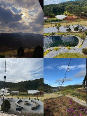 Quỳnh Hoa Bùi Instagram - Có những ngày, hạnh phúc đơn giản là ngồi bên hồ cá, ngắm nhìn mây trôi giữa trời. Đà Lạt – nơi Hoa cho phép bản thân sống chậm lại, tận hưởng không khí thiên nhiên 😌 cùng nhìn lại hành trình 1 năm qua chuyển khẩu về DaLat sao nhanh quá ta ❤️