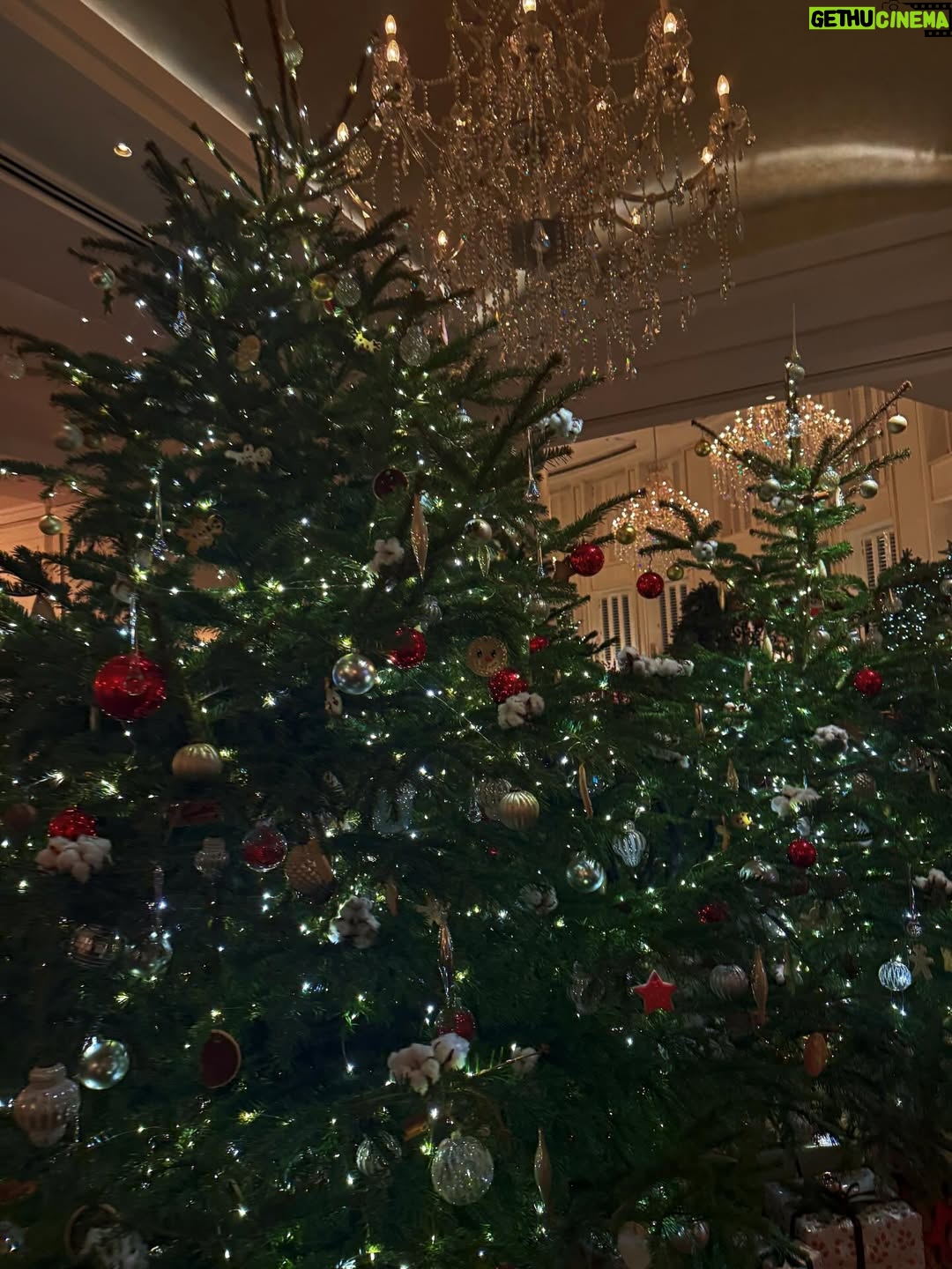 Quỳnh Hoa Bùi - 757 Likes - Heart’s warm 🧣🎄