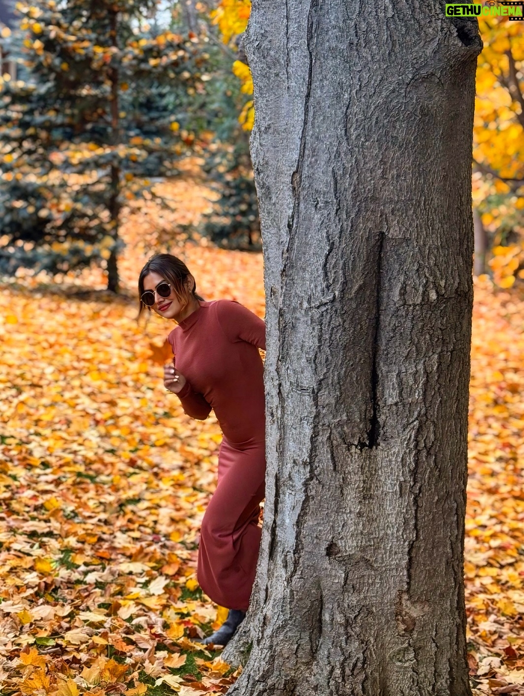 Raavi Kaur Bal - 3 Likes - I just can’t get over these fall colors😍 Couldn’t decide on just one so I’m posting them all 🍂✨

Falling in love with my first Canadian fall 🍁❤️

#raavikaurbal #fallismyfavorite #canada🇨🇦 #brampton #firstfallincanada #punjab #punjabi