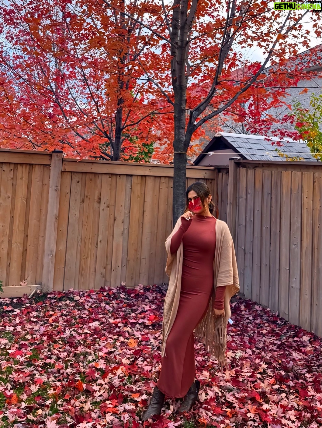 Raavi Kaur Bal - 3 Likes - I just can’t get over these fall colors😍 Couldn’t decide on just one so I’m posting them all 🍂✨

Falling in love with my first Canadian fall 🍁❤️

#raavikaurbal #fallismyfavorite #canada🇨🇦 #brampton #firstfallincanada #punjab #punjabi