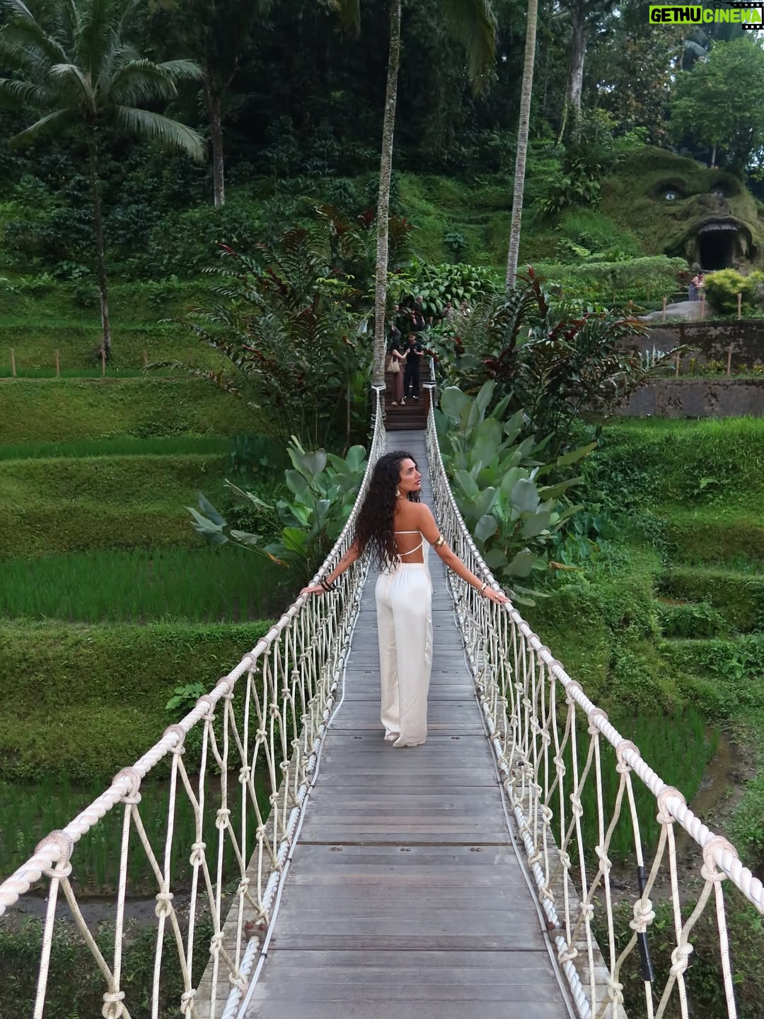 Raghda - 115.9K Likes - Favorite place on earth BALI📍🥺
🌴🌊🌳🪸🍃