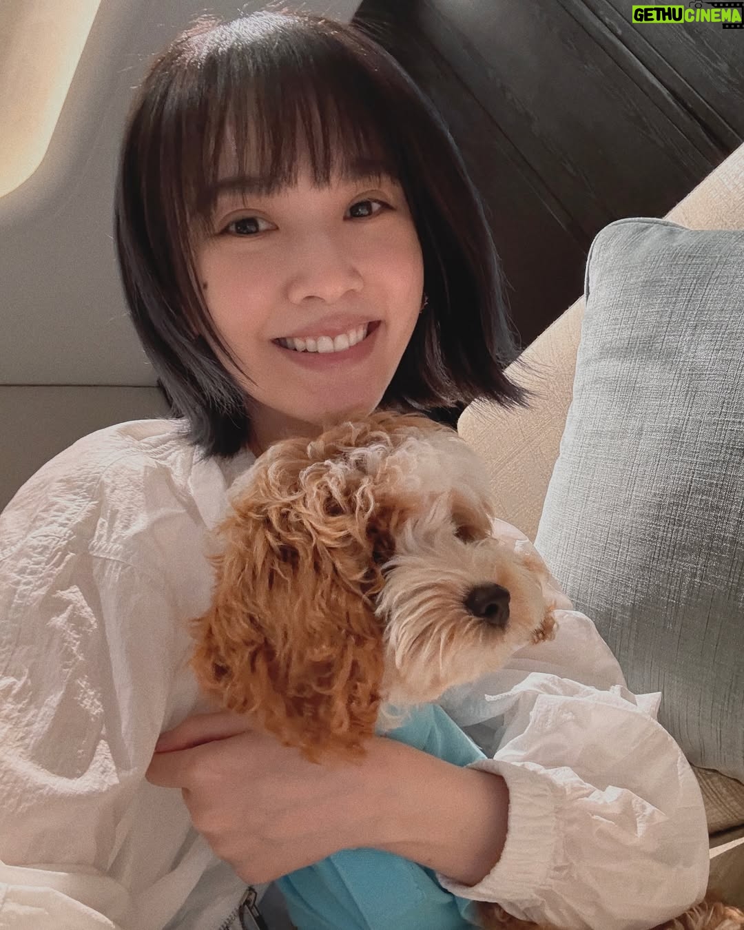Rainie Yang - 21K Likes - 分享一些未發佈的生活碎片
祝大家生活愉快🥰

#生活碎片