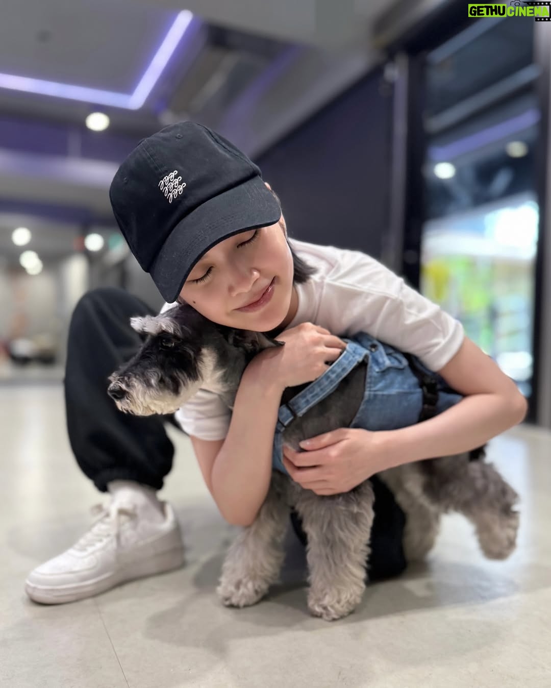 Rainie Yang - 21K Likes - 分享一些未發佈的生活碎片
祝大家生活愉快🥰

#生活碎片