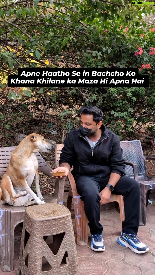 Rani Pari - 1.4K Likes - Thank you @iampari.23 ❤️

#Maddadgarfoundation #doglover 
#bhopal  #DogRescue  #StreetDogs