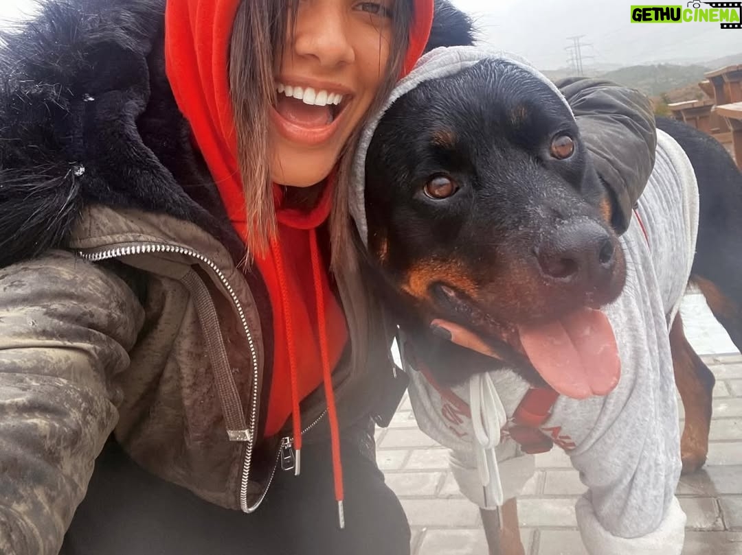 Raquel Sampaio - 5.7K Likes - O meu melhor amigo 🤞🏾meu tudinho