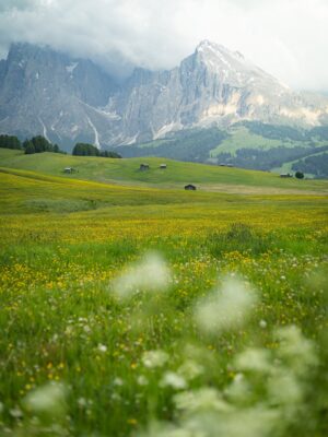 Rebecca Roy Instagram - Alpe di Siusi – just the two of us, and this unreal canvas of wildflowers, horses, and dramatic Dolomites!⁠🌼⛰️⁠

You won’t believe this, but we shot all these pictures without a soul in sight—no crowds, no edits. Just pure, cinematic magic.⁠💫

How? Here’s a golden tip:
🚗 In summer, cars aren’t allowed inside Alpe di Siusi from 9-5 PM. But post 5 PM? The gates open! You can drive right in, no hiking needed.
📍We dropped the pin at a few scenic spots (check last slides) – trust us, it’s a photographer’s dream.
🌤️ And evening light? Chef’s kiss. Soft, moody, and just enough drama to make the mountains sing.

If you’re dreaming of that postcard-perfect meadow moment – wait till evening, grab a picnic, and let nature do the rest.🌸🫶🏽

Shot on @canonindia_official EOS R5 mark II

#alpedisius #seiseralm #dolomites #odysseyoftwo #coupleswhotraveltogether #europeroadtrip #italy #chennaiinfluencer #travelinfluencer #travelvibes #chennaiblogger #indianblogger #travelcouple #VibeWithCanon #CanWithCanon