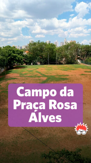 Renata Falzoni Instagram - Ótima notícia para moradores, famílias, atletas e todos os frequentadores da Praça Rosa Alves, na zona sul de São Paulo. O campo será mantido com grama natural, nenhuma árvore será retirada e a Prefeitura promete ampliar o cachorródromo no local.

O novo plano foi definido em reunião articulada por mim e minha colega @marinabragante nesta segunda-feira (22) e as novidades foram pactuadas entre o subprefeito da Vila Mariana @rafaminatosp, moradores, além da @sp.rugby. 

Acreditamos muito em soluções baseadas no diálogo, participação popular e na união de forças para decidir o que é o melhor para a cidade. Sempre com foco na defesa das áreas verdes e da ocupação democrática dos espaços públicos, com esporte e lazer para todos. Vamos juntos nessa!