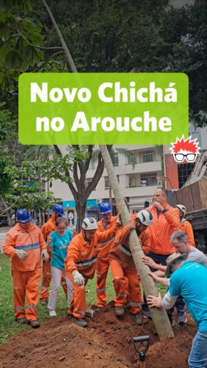 Renata Falzoni Instagram - O Largo do Arouche ganhou mais um Chichá. Que alegria fechar a semana com essa imagem.

Estou com o coração leve, transbordando. Este ano presenciei a queda de tantas árvores — cenas de uma tristeza infinita, imagens que não saem da memória.

Por isso, ver esse plantio tão simbólico é um alento. Dá esperança. Ainda mais ao encontrar uma muda já bem desenvolvida, com um caule de 15 cm de diâmetro e oito metros de altura. Ela foi cultivada pela Fábrica de Árvores, um viveiro especializado em Mata Atlântica, e foi uma doação de um munícipe à cidade de São Paulo.

Que ela cresça saudável, frondosa, e com a certeza de que seguimos atentas para defendê-la — e a todas as outras árvores da cidade.