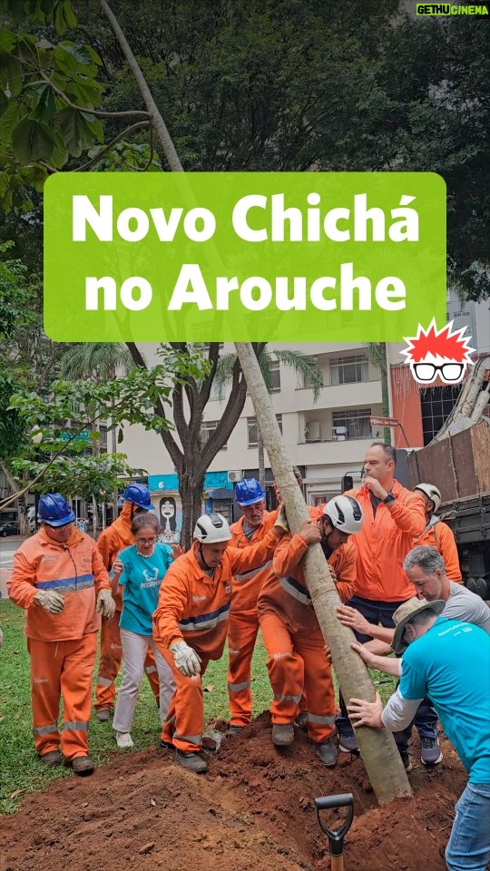 Renata Falzoni - 24.5K Likes - O Largo do Arouche ganhou mais um Chichá. Que alegria fechar a semana com essa imagem.

Estou com o coração leve, transbordando. Este ano presenciei a queda de tantas árvores — cenas de uma tristeza infinita, imagens que não saem da memória.

Por isso, ver esse plantio tão simbólico é um alento. Dá esperança. Ainda mais ao encontrar uma muda já bem desenvolvida, com um caule de 15 cm de diâmetro e oito metros de altura. Ela foi cultivada pela Fábrica de Árvores, um viveiro especializado em Mata Atlântica, e foi uma doação de um munícipe à cidade de São Paulo.

Que ela cresça saudável, frondosa, e com a certeza de que seguimos atentas para defendê-la — e a todas as outras árvores da cidade.