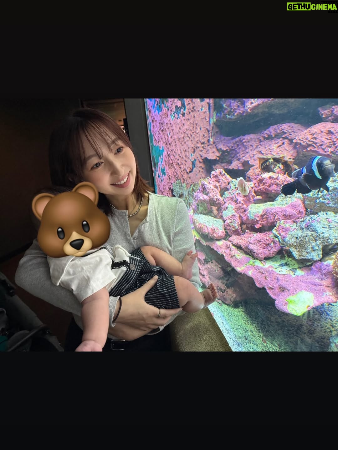 Riho Iida - 6.1K Likes - 今年も一年ありがとうございました！

自分にとって、とっても大きな変化を迎えた
忘れられない一年になりました🪽

上半期は出産と育児、
下半期はお仕事の機会もいただき、
学びと感謝にあふれた日々でした。

みんなにも会える機会があって嬉しかったです✨

インスタでは子どものことを
多く触れさせていただいていましたが、
初めてのことばかりで余裕がなくなってしまった時、
みなさんの温かい言葉に何度も助けられました。

本当にありがとうございました。
この場所があってよかったと心から思います。

マイペースな更新にはなりますが、
これからも見守っていただけたら嬉しいです🙂‍↕️🤍

今年も残すところあとわずか..
よいお年をお迎えください✨

2025.12.31

#飯田里穂 #りっぴー #飯田里穂タイム #双子 #双子育児