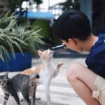 Rina Takeda
