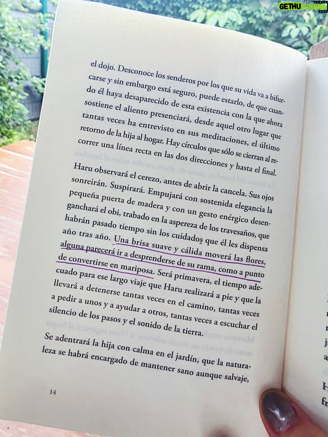 Rocío Igarzábal - 4.8K Likes - El caos de fin de año me resulta hermoso 🦋
.
.
@dove