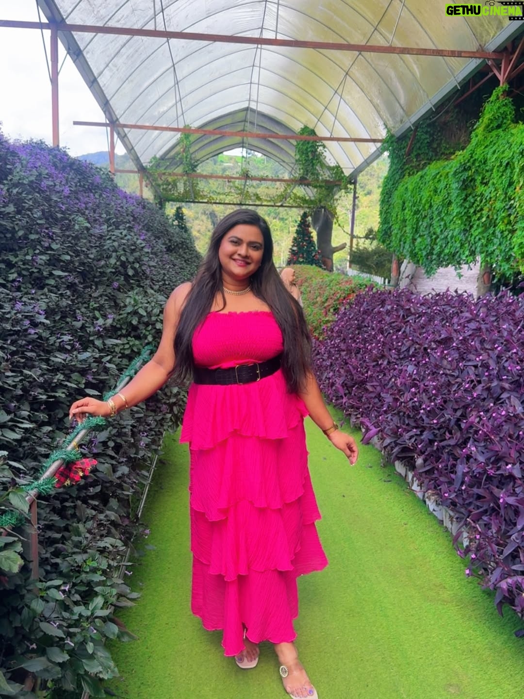 Rohini Reddy - 10.7K Likes - 💕💕
Thank you for the best trip Lowkya @skydreamtravels_by_lowkyapavan 

Had a nice time 😍

#newyear 
#malysia #cameron #skydreamtravels