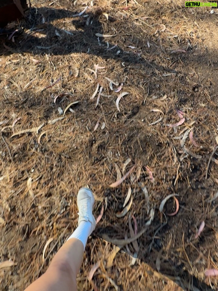 Rosángela Espinoza - 3 Likes - Qué privilegio es detenerse y apreciar la belleza de la naturaleza 🥹😭♥️Hoy agradezco tener salud, poder salir a correr y, sobre todo, regalarme estos paisajes que para mí no tienen precio 🌿☀️. 
Ya regreso a mi Lima con una energía más bonita 🥰. Con todas las ganas de empezar ya con mis actividades 🥂🤍🫶🏻📺🎙️🎬📸🐶🏠📖💪🏋️💸✍️
Que nunca nos falten razones para vivir con el corazón lleno de amor 🤍.
