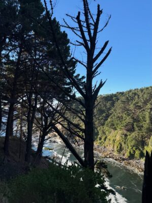 Rosángela Espinoza Instagram - Qué privilegio es detenerse y apreciar la belleza de la naturaleza 🥹😭♥️Hoy agradezco tener salud, poder salir a correr y, sobre todo, regalarme estos paisajes que para mí no tienen precio 🌿☀️.
Ya regreso a mi Lima con una energía más bonita 🥰. Con todas las ganas de empezar ya con mis actividades 🥂🤍🫶🏻📺🎙️🎬📸🐶🏠📖💪🏋️💸✍️
Que nunca nos falten razones para vivir con el corazón lleno de amor 🤍.