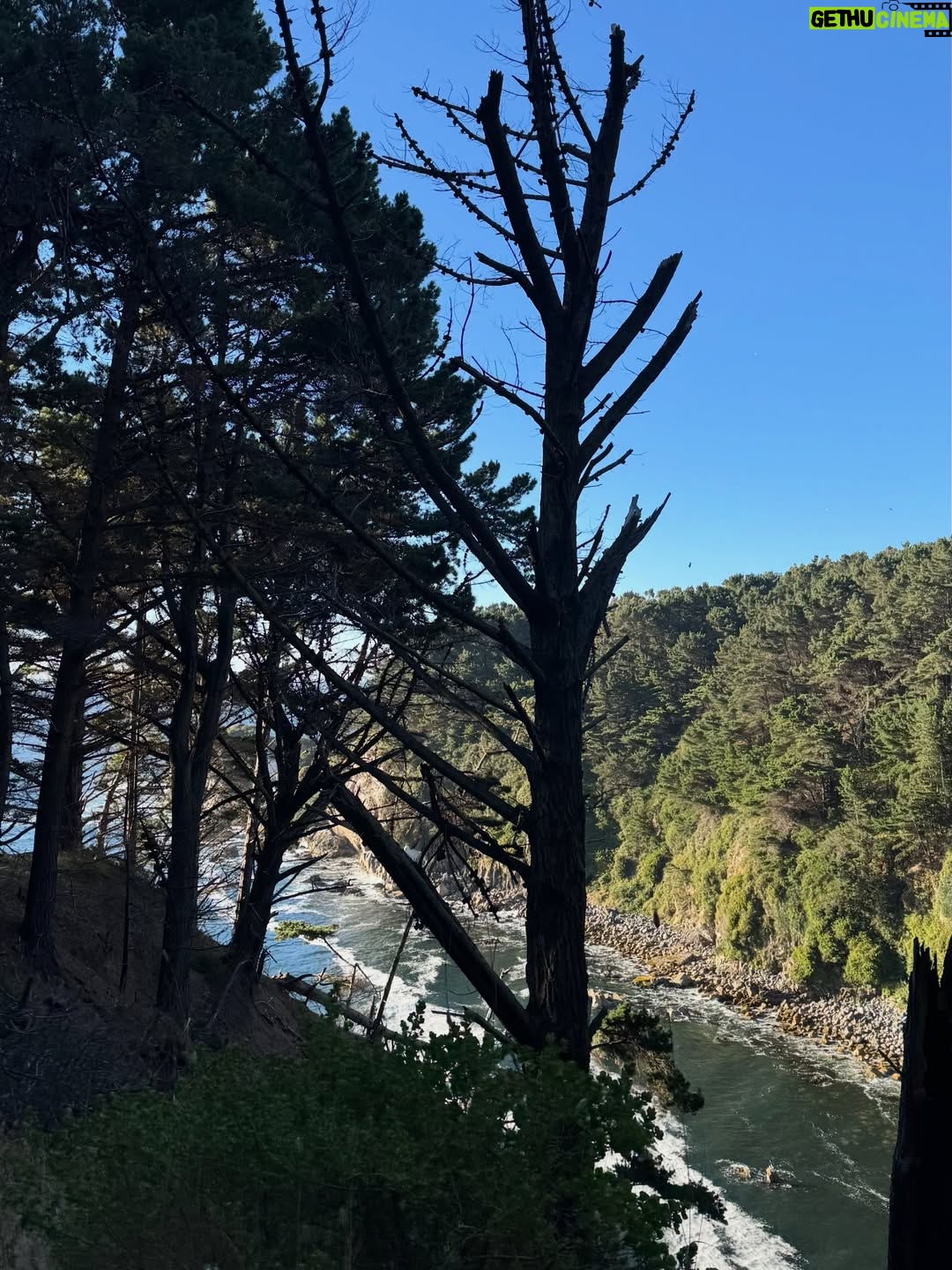 Rosángela Espinoza - 3 Likes - Qué privilegio es detenerse y apreciar la belleza de la naturaleza 🥹😭♥️Hoy agradezco tener salud, poder salir a correr y, sobre todo, regalarme estos paisajes que para mí no tienen precio 🌿☀️. 
Ya regreso a mi Lima con una energía más bonita 🥰. Con todas las ganas de empezar ya con mis actividades 🥂🤍🫶🏻📺🎙️🎬📸🐶🏠📖💪🏋️💸✍️
Que nunca nos falten razones para vivir con el corazón lleno de amor 🤍.