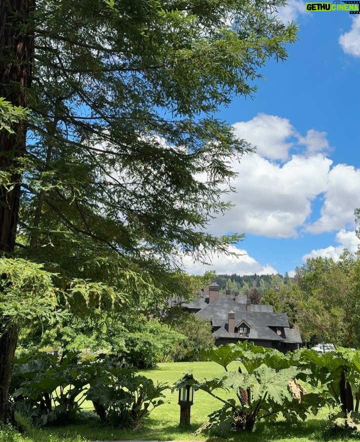Rosángela Espinoza - 3 Likes - Luz, naturaleza y un vestido que vibra con el paisaje 🌸☀️
El lago Villarrica siempre tiene algo especial 🌱🤍