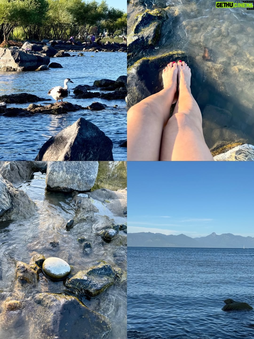 Rosángela Espinoza - 3 Likes - Una tarde simple y hermosa en Villarrica ✨
Paseando por aquí, me regalé un clásico del verano chileno: mote con huesillo 🍑🥤, y terminé mojando mis pies en el lago 🌊 como siempre me gusta conectar con la naturaleza, disfrutando el momento y conociendo un poquito más de este lugar tan lindo. A veces, la felicidad está en lo más sencillo 💚🫶🏻