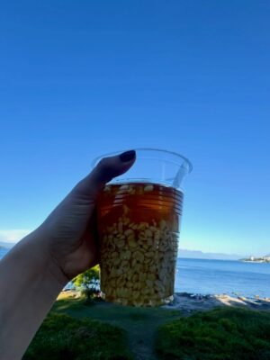 Rosángela Espinoza Instagram - Una tarde simple y hermosa en Villarrica ✨
Paseando por aquí, me regalé un clásico del verano chileno: mote con huesillo 🍑🥤, y terminé mojando mis pies en el lago 🌊 como siempre me gusta conectar con la naturaleza, disfrutando el momento y conociendo un poquito más de este lugar tan lindo. A veces, la felicidad está en lo más sencillo 💚🫶🏻