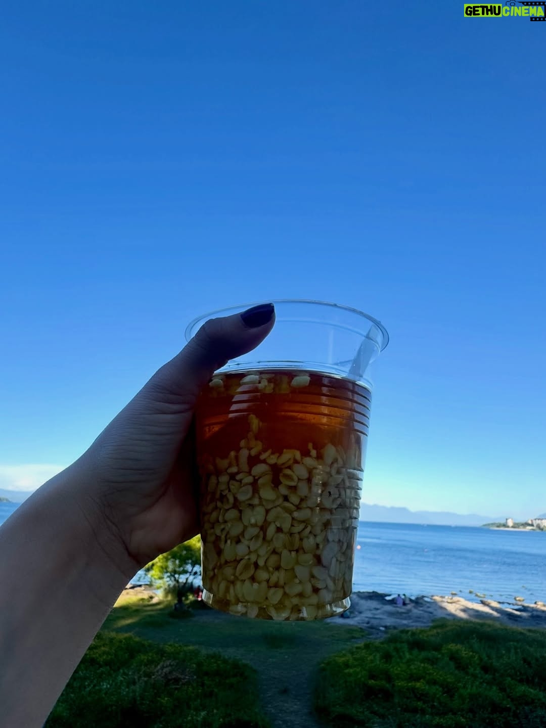 Rosángela Espinoza - 3 Likes - Una tarde simple y hermosa en Villarrica ✨
Paseando por aquí, me regalé un clásico del verano chileno: mote con huesillo 🍑🥤, y terminé mojando mis pies en el lago 🌊 como siempre me gusta conectar con la naturaleza, disfrutando el momento y conociendo un poquito más de este lugar tan lindo. A veces, la felicidad está en lo más sencillo 💚🫶🏻