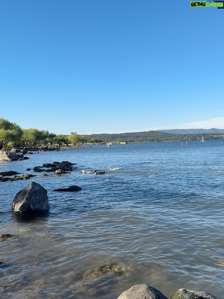 Rosángela Espinoza - 3 Likes - Una tarde simple y hermosa en Villarrica ✨
Paseando por aquí, me regalé un clásico del verano chileno: mote con huesillo 🍑🥤, y terminé mojando mis pies en el lago 🌊 como siempre me gusta conectar con la naturaleza, disfrutando el momento y conociendo un poquito más de este lugar tan lindo. A veces, la felicidad está en lo más sencillo 💚🫶🏻