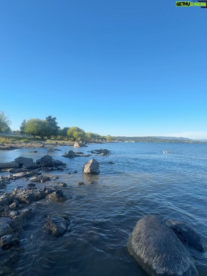 Rosángela Espinoza - 3 Likes - Una tarde simple y hermosa en Villarrica ✨
Paseando por aquí, me regalé un clásico del verano chileno: mote con huesillo 🍑🥤, y terminé mojando mis pies en el lago 🌊 como siempre me gusta conectar con la naturaleza, disfrutando el momento y conociendo un poquito más de este lugar tan lindo. A veces, la felicidad está en lo más sencillo 💚🫶🏻
