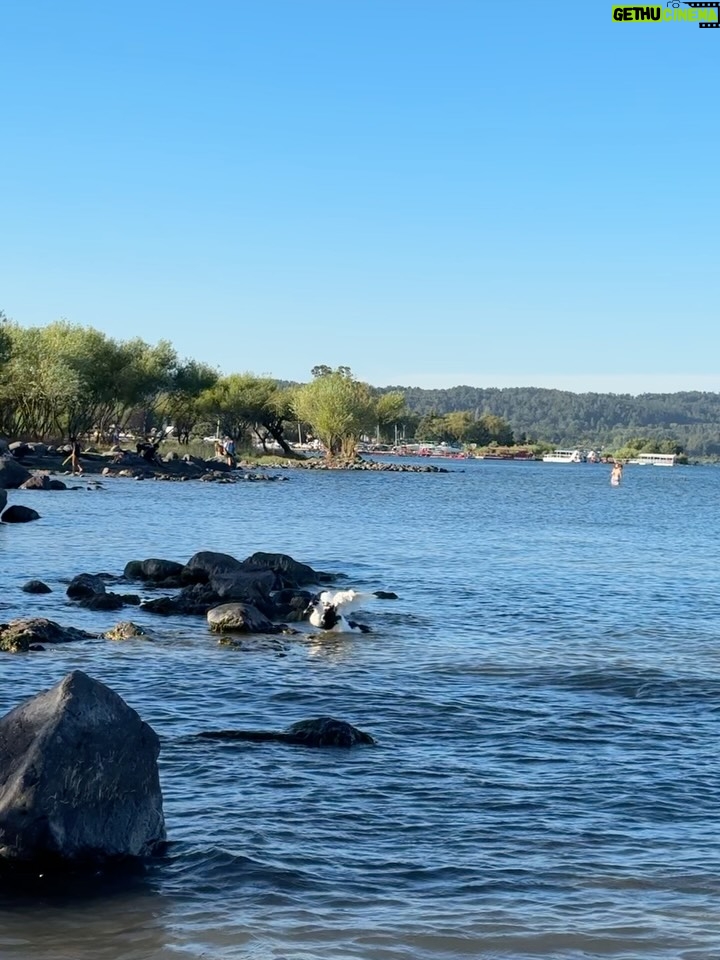 Rosángela Espinoza - 3 Likes - Una tarde simple y hermosa en Villarrica ✨
Paseando por aquí, me regalé un clásico del verano chileno: mote con huesillo 🍑🥤, y terminé mojando mis pies en el lago 🌊 como siempre me gusta conectar con la naturaleza, disfrutando el momento y conociendo un poquito más de este lugar tan lindo. A veces, la felicidad está en lo más sencillo 💚🫶🏻