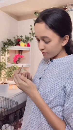 Roshni Sony Instagram - Hamare ghar ku ayi ek pyari si chidiya rani 🐦‍⬛🪶🥹😇❤️

[ Birds Birdslover LoveandCare NatureBeauty Bangalore ]