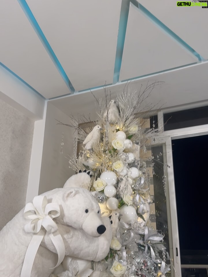 Rosmeri Marval - 221.6K Likes - Y llegó la Navidad a nuestro hogar 😍 gracias @efectoalvarado porque la idea de que este año tuviéramos nuestro árbol polar con ese oso enorme y las familias de pingüinos a los niños le encantó y a nosotros también al verlos así de felices.

📸 @orlyrivasphoto