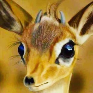 Rym Ghezali Instagram - قصة وعبرة..
ﻏﺰﺍﻟﺔ ﺣﺎﻣﻞ, لما قربت ولادتها ذهبت لمكان ﺑﻌﻴﺪ في أطراف الغابة قرب ﻧﻬﺮ ...
ﻭﻓﺠﺄة وهي تلد ﺑﺪﺃﺕ ﺍﻟسماء ترعد وتبرق صاعقة تسببت بحريق كبير في اﻟﻐﺎﺑﺔ...
تطلعت عن ﺷﻤالها رأت  ﺻﻴﺎﺩ يحاول اصطيادها بالسهم ...
تطلعت عن ﻳﻤﻴﻨﻬﺎ وإذا باﺳﺪ جائع اقترب ليفترسها !!!!!
فالغزالة:
اما يفترسها الأسد !!! وإما يصيبها الصياد بسهم !!! وإما تحرق في الغابة !!! وإما تغرق بالنهر !!!
المخاطر في كل الإتجاهات، وليس لها مفرّ او خلاص !!!
ماذا تفعل !!!؟؟؟
تركض وهي ضعيفة ؟؟؟
تستسلم للنهاية ؟؟؟؟
قررت الغزالة أن تفعل الذي باستطاعتها فعله ...ﺭﻛﺰﺕ ﻓﻲ ﻭﻻﺩتها !!
*فما الذي حصل* ؟؟
- ﺍﻟﺒﺮﻕ أﻋمى ﺍﻟﺼﻴﺎﺩ ..
- خرج ﺍﻟﺴﻬﻢ ﺍﻟذي ﻛﺎﻥ ﻣﻮجّهاً باﺗﺠﺎﻩ ﺍﻟﻐﺰﺍﻟﺔ ﻭﺍﺻﺎﺏ ﺍﻻﺳﺪ ﺍﻟجائع فمات فوراً !!
- ﺍﻻﻣﻄﺎﺭ نزلت ﺑﻐﺰﺍﺭﺓ فأطفأت ﺣﺮﻳق ﺍﻟﻐﺎﺑﺔ !!!
- ﺍﻟﻐﺰﺍﻟﺔ ﻭﻟﺪﺕ بسلام... *العبرة* ...
ﻓﻲ ﺣﻴﺎﺗك  ﻟﺤﻈﺎﺕ تكون فيها محاصر من كل إتجاه..
أفكار متشائمة.....أولادك أتعبوك...
حروب روحية...خطايا مسيطرة على قلبك...
أمور متعسّرة خارجة عن إرادتك ...مشاكل !! *ركّز في ما تستطيع فعله، واترك الباقي على الذي يرتّب حياة كل البشر .. سبحانه وتعالى...
انه أرحم من الأم على ولدها...لا تفقد رجاءك وإيمانك فيه... هو عنده حلول كل مشاكلك ..
وتذكر شي مهم !!!
*لا تقل: يا رب عندي همّ كبير..
*بل قل : يا همّ عندي رب كبير ...