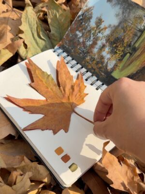 Sakshi Khullar Instagram - Before the snow stories begin, here’s a little rewind to the golden autumn 🍁🍂✨