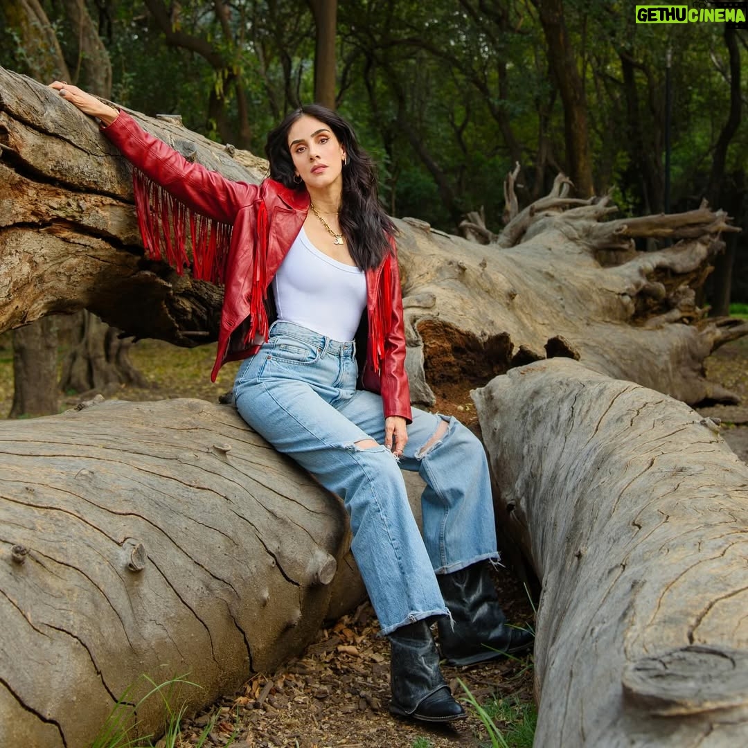 Sandra Echeverría - 3 Likes - Un poquito más de mi 2025…