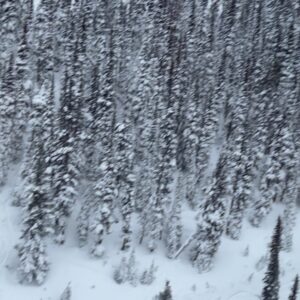 Sandra Echeverría Instagram - Winter wonderland ❄️❄️❄️ #whistler ☃️