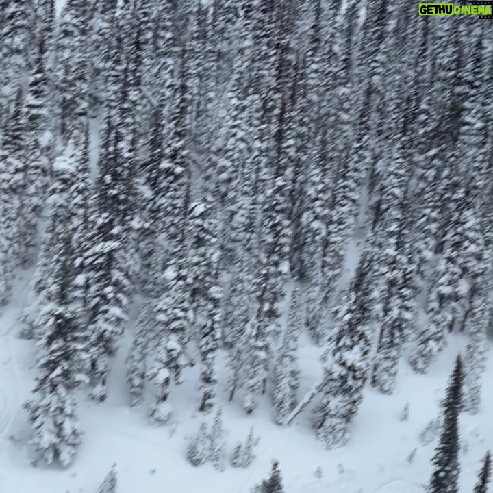 Sandra Echeverría - 3 Likes - Winter wonderland ❄️❄️❄️ #whistler ☃️