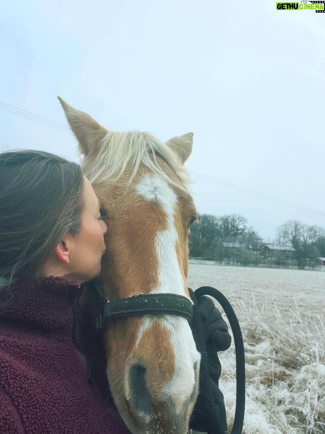Sanna Lundell - 2.1K Likes - Julgransjakt med älsklingar❤️