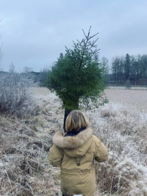 Sanna Lundell Instagram - Julgransjakt med älsklingar❤️