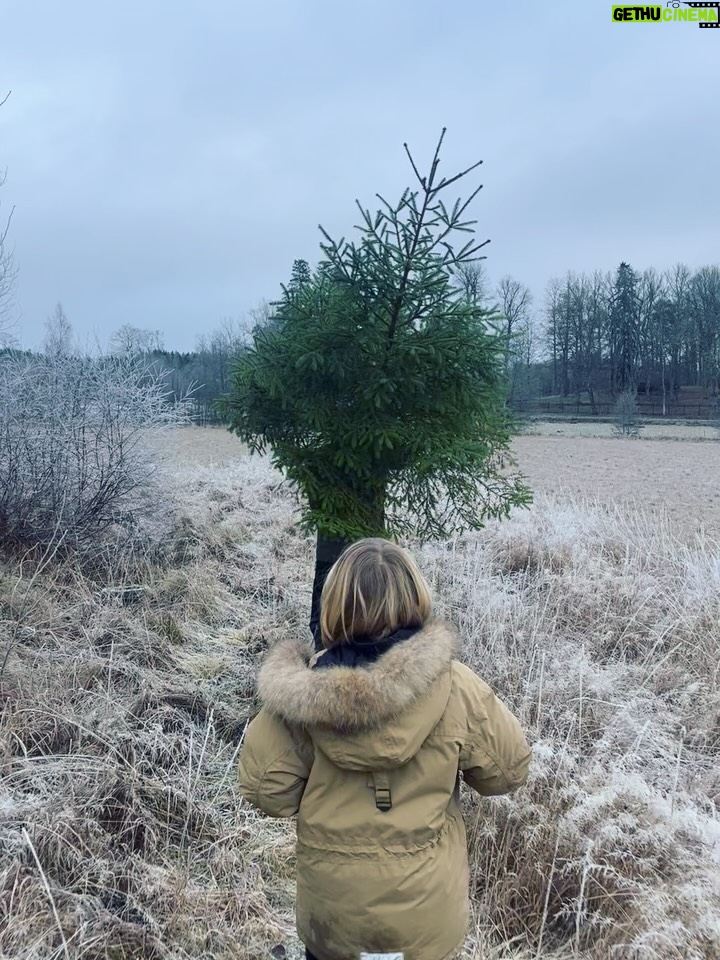 Sanna Lundell - 2.1K Likes - Julgransjakt med älsklingar❤️