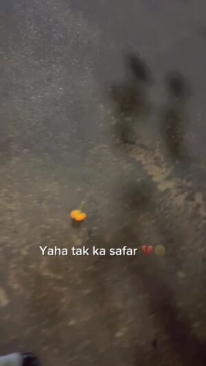 Sapna Roy Instagram - Meine taiy kiya hai ❤️🩹🥲 @sapnaroy322
#viralvideos #shayari #viral #trendingreels #explore