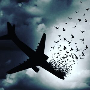 Sara Khoeniha Instagram - خدایا تا کی باید داغ هموطن ببینیم ؟! زبانم به تسلیت نمیچرخد چون زمانیکه برادر جوانم رو از دست دادم قلبم طوری مچاله شد که دلم نمیخواست حتی تسلیتی بشنوم ،هیچ چیز نمیتواند دل های داغ دیده را ذره ای آرام کند ! 
هیچ چیز ....
و ای کاش این همه اخبار تلخ نقطه ی پایانی هم داشته باشند !
#سارا_خوئینی_ها 
#پرواز_۷۵۲_اوکراین 
#پرواز۷۵۲