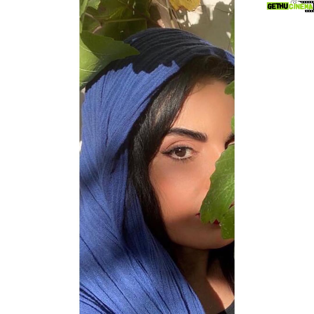 Sara Khoeniha - 14.4K Likes - همیشه درخت مُو من رو از لحظه ی حال به بی دغدغه ترین دوران میبره ،به کودکی !
امروز هم وسط ظهر داغ جمعه ،سیاه مست سایه ی این تاک شدم