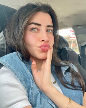 Sarah Elshamy Instagram -