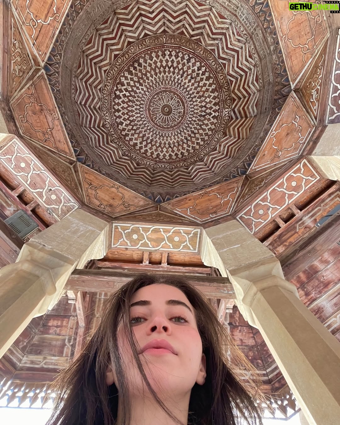 Sarah Elshamy - 26.2K Likes - 